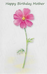 Pre-Priced Mother Birthday Cards, Value Priced Mother Birthday Cards