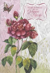 Pre-Priced Wife Birthday Cards, Value Priced Wife Birthday Cards