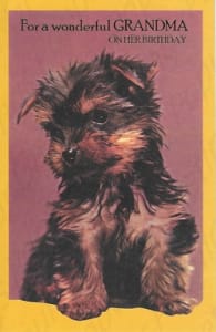 Pre-Priced Grandma Birthday Cards, Value Priced Grandma Birthday Cards