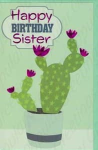 Pre-Priced Sister Birthday Cards, Value Line Sister Birthday Cards