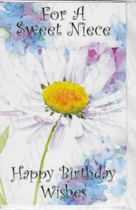Pre-Priced Niece Birthday Cards, Value Priced Niece Birthday Cards
