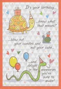 Pkt #9-380-Juvenile Birthday