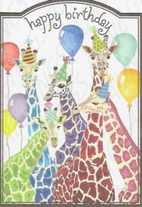 Pkt #9-387-Juvenile Birthday