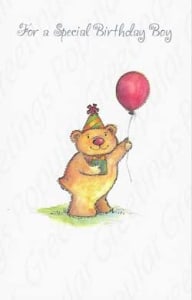 Pkt #9-393-Juvenile Birthday