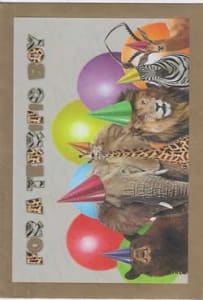 Pkt #9-401-Juvenile Boy Birthday