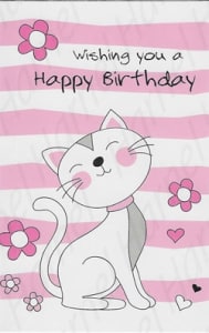 Pkt #9-411-Juvenile Girl Birthday