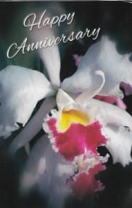 Pkt #9-605-Anniversary