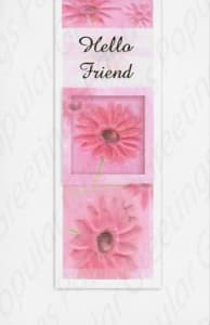 Pkt #9-699-Friendship