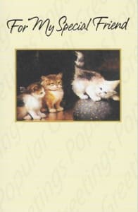 Pkt #9-706-Friendship