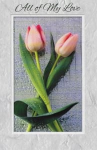 Pkt #9-723-Love/Romance