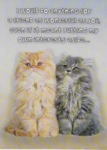 Pkt #9-782-Humor Friendship