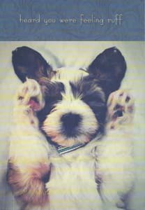 Pkt #9-933-Humor Get Well