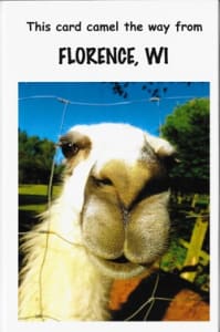 Your Town Birthday Humor Greeting Card