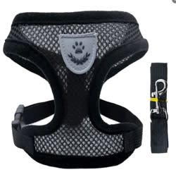 98651-Pet Harness w/Leash