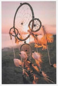 Wildlife Greeting Card