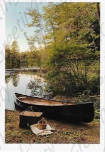 Wildlife Greeting Card, Up North birthday card