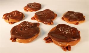 photo of SEA-SALT TURTLES (6pack)
