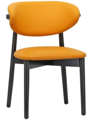 Modern Upholstered Designer Black/ Walnut Finish Wood Chair