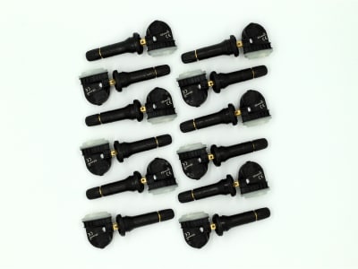Schrader 33500 12 pack