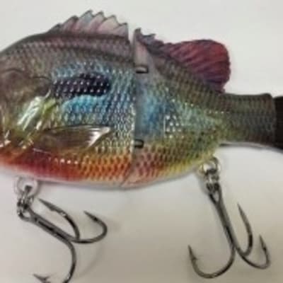 Glide Bream