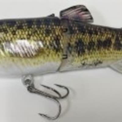 Glide Shad