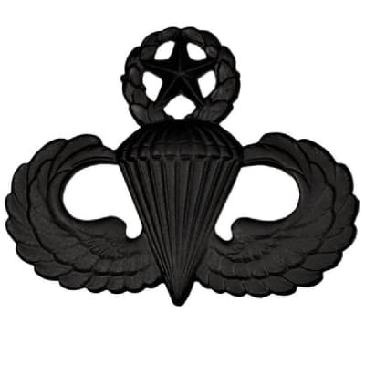 Army Parachutists Master Badge  AR-309-BM
