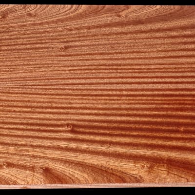 Book-Matched Quarter-Sawn Sapele Acoustic Body - 2 Pcs - 20" x 10 1/8" x 1/2"+  - $95.00