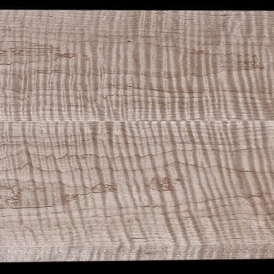 Book-Matched Curly Maple - 2 Pcs - 20" x 6 15/16" x 7/8"  - $180.00