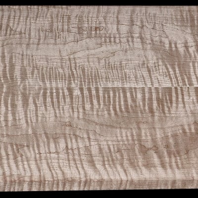 Book-Matched Curly Maple - 2 Pcs - 22" x 8 1/4" x 13/16"+ - $175.00