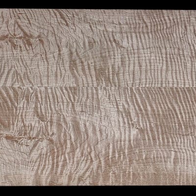 Book-Matched Curly Maple - 2 Pcs - 21" x 7 11/16" x 13/16"+ - $175.00