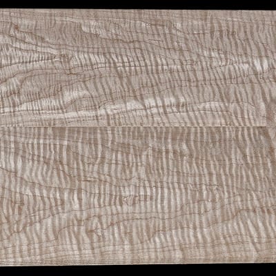 Thin Book-Matched Curly Hard Maple - 2 Pcs - 20" x 7 3/4" x 5/16" - $75.00