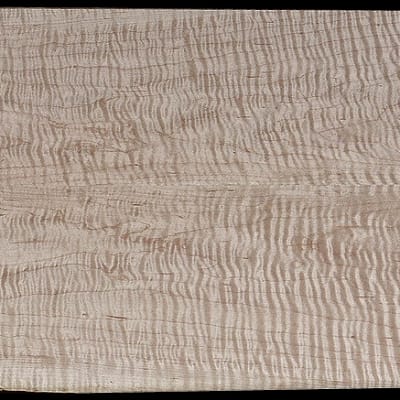 Thin Book-Matched Curly Hard Maple - 2 Pcs - 22" x 7 7/16" x 5/16" - $65.00