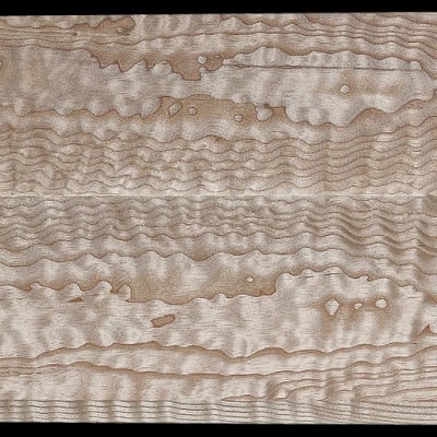 Book-Matched Blistered Curly Ash - 2 Pcs - 20" x 7 1/2" x 13/16"+ - $185.00