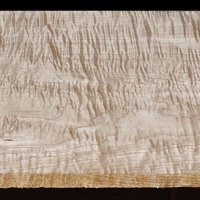 Wide Curly Hard Maple - 85 5/8" x 11 1/8" x 13/16"+ - $115.00