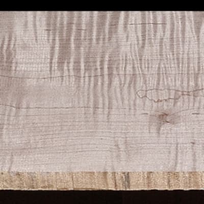 Curly Maple - 119" x 8 1/4" x 13/16" - $80.00