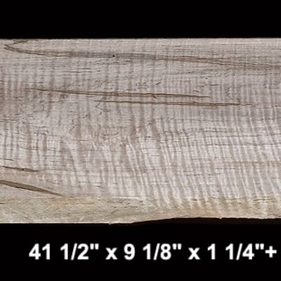 Curly Ambrosia Maple - 41 1/2" x 9 1/8" x 1 1/4"+ - $65.00