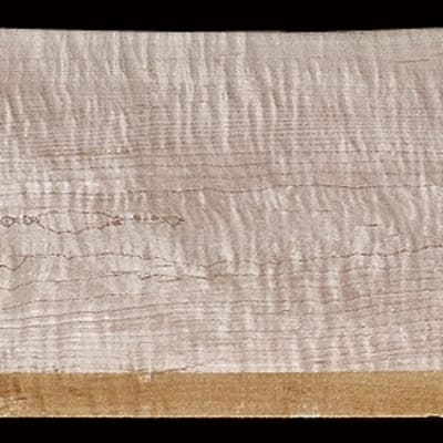Wide Curly Hard Maple - 95" x 10 9/16" x 1 1/8"+ - $145.00