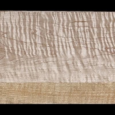 Curly Hard Maple  - 39 9/16" x 6 5/8" x 1 13/16"+ - $55.00