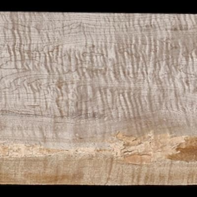Curly Hard Maple  - 47" x 8 5/8" x 1 7/8" - $85.00
