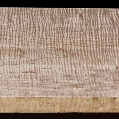 Wide Curly Hard Maple  - 74 3/8" x 11 13/16" x 1 3/4"+ - $205.00
