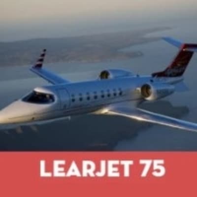 Aircraft Security Lear 45/75 Medeco Lock Set for aircraft doors, panels, baggage, and cockpit security.