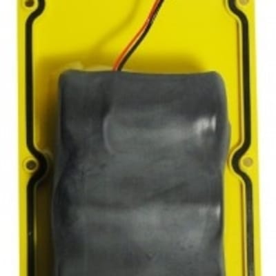 ELT 406Mhz Battery Replacement