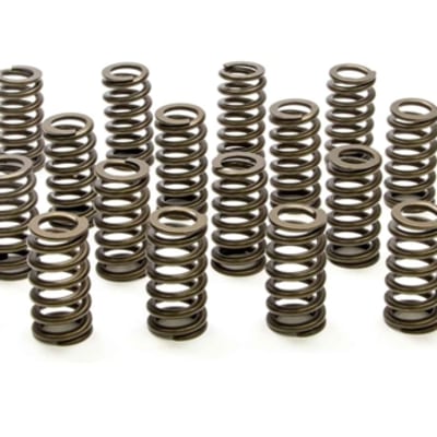 PAC 4.6 5.4 2V SOHC RPM Series .600 Lift Beehive Spring Set 16