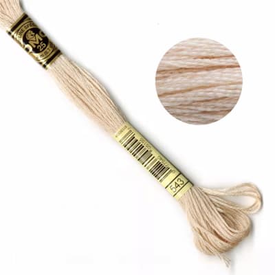 DMC Embroidery Floss - Beige Skin (543)