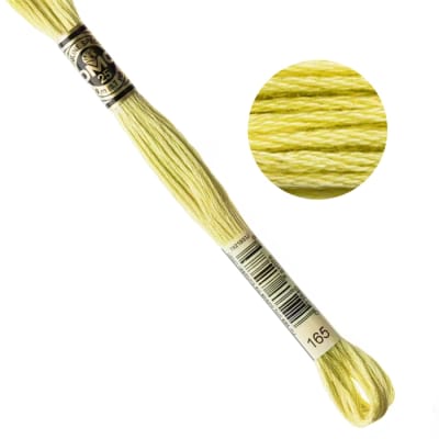DMC Embroidery Floss - Green Pear (165)