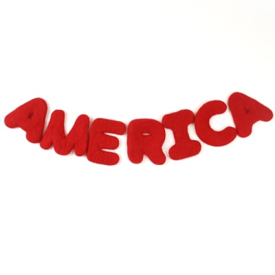 AMERICA Felt Letters