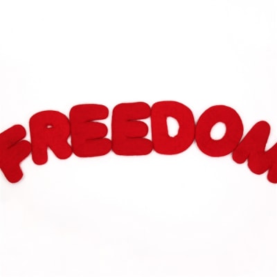 FREEDOM Felt Letters