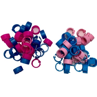 Removable Snap Bands - Blue/Pink