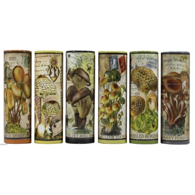 Vintage Mushroom Illustration Match Tube