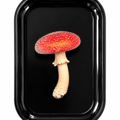 Amanita Mushroom Metal Tray